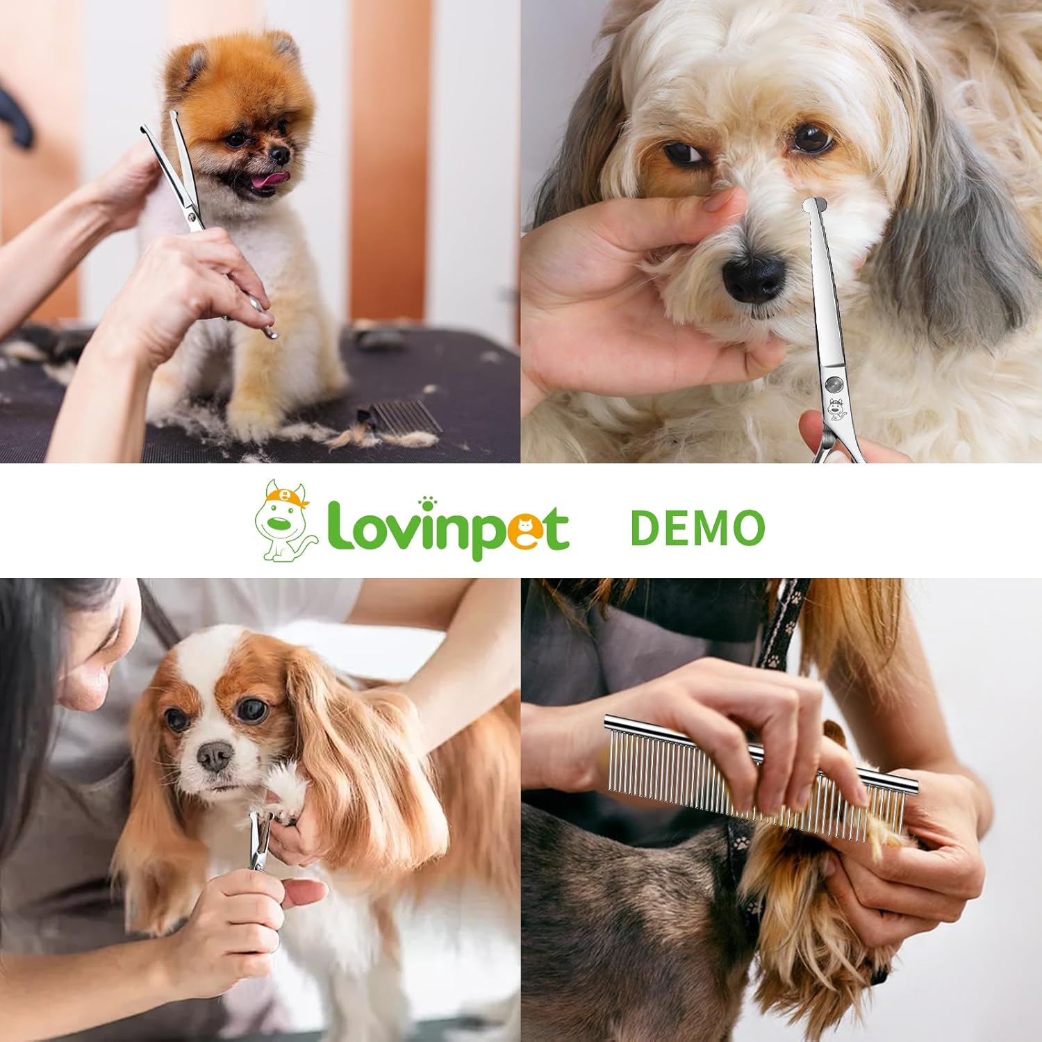 LovinPet Dog Grooming Scissors Set, all Safety Round Tips Professional 6 in 1 Germany Stainless Steel Dog Grooming Scissors Kit,Sharp and Durable Pet Grooming Shears for Dogs Cats for Home and Travel · v6