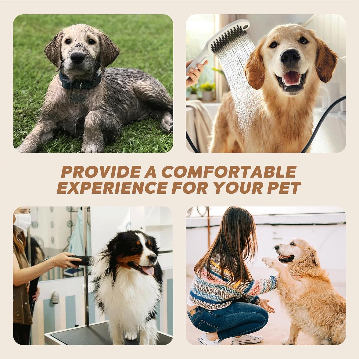 Dog Dryer Pet Grooming Hair Dryer with Heater/Vacuum  Dryer/Adjustable Speed and Temperature Control Dog Blower 4 Different Nozzles for Home, Pet Washing Station, Travel · v9