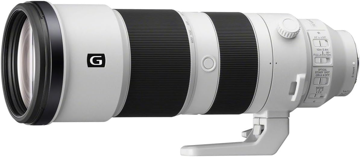 Sony FE 200-600mm f/5.6-6.3 G OSS Lens, Black, Bundle with 95mm Digital Essentials Filter Kit and 19x19 Lens Wrap · v9
