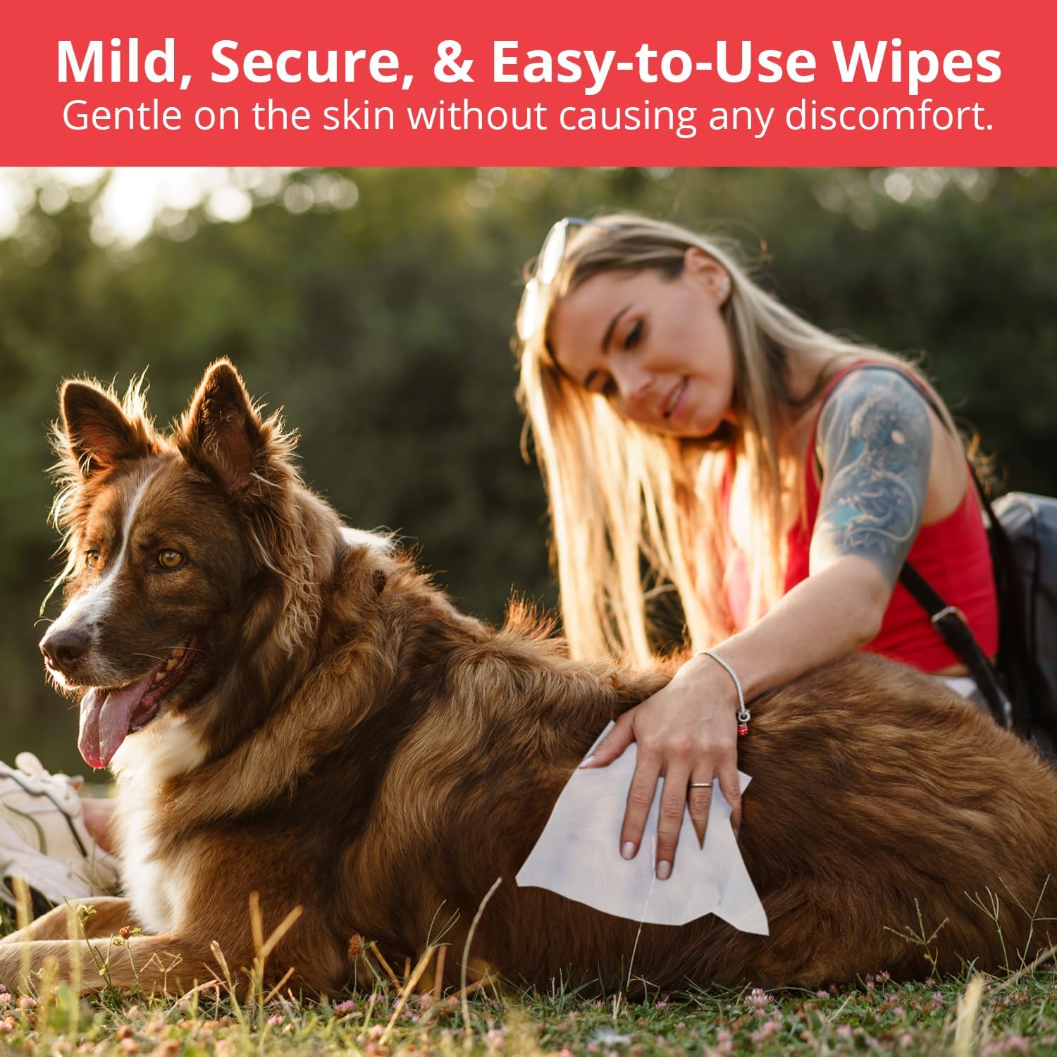 NOVEHA XL Cleansing Wipes with Aloe for Cats and Dogs - Formulated Pet Wipes for Facial, Finger Folds, and Underarms - Extra Large Size (5.5 x 7") - 120 Count · v11