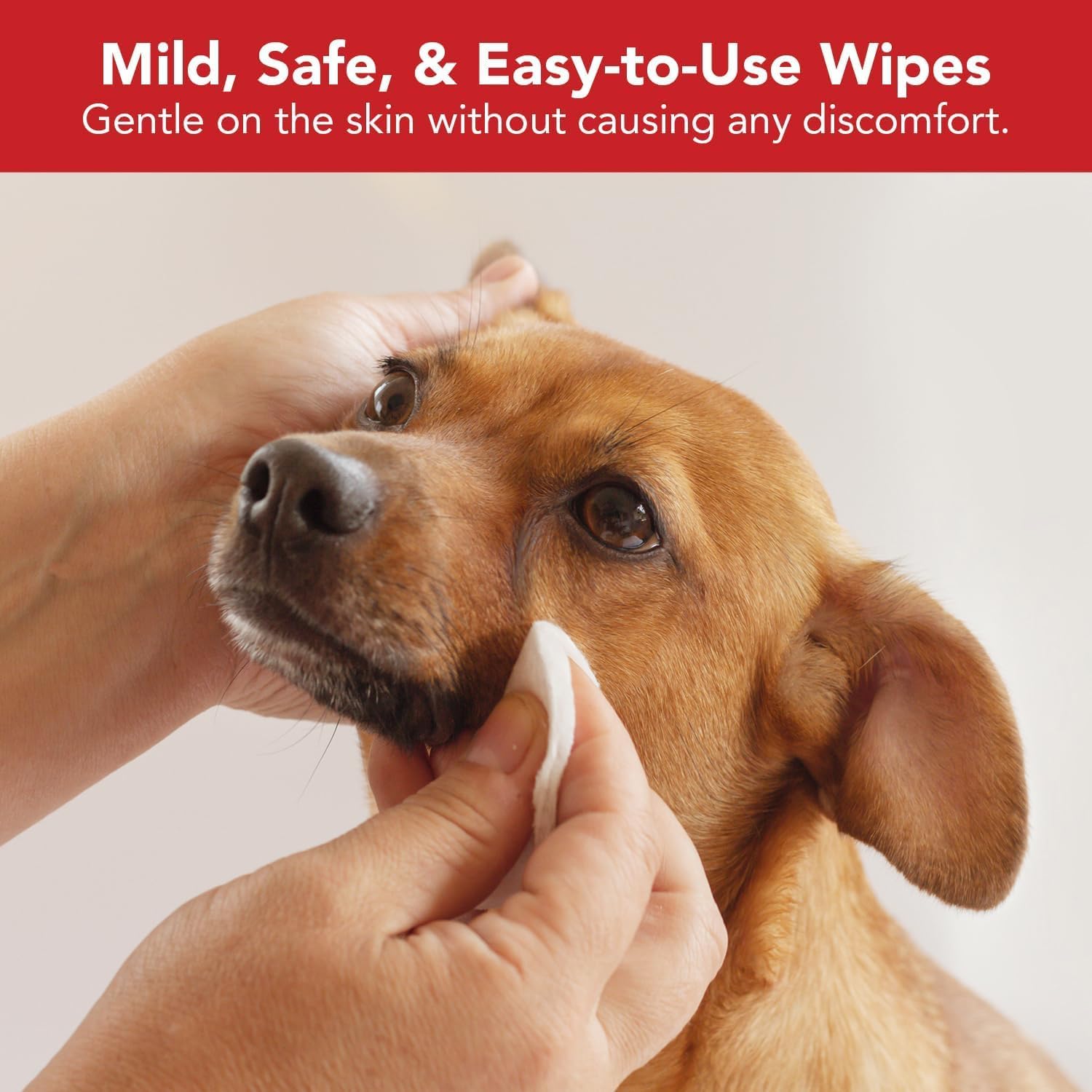 NOVEHA Pet Wipes - Formulated Pet Wipes - for Facial and Finger Folds, Underarms - 3 x 2" Size (300 Counts) · v5