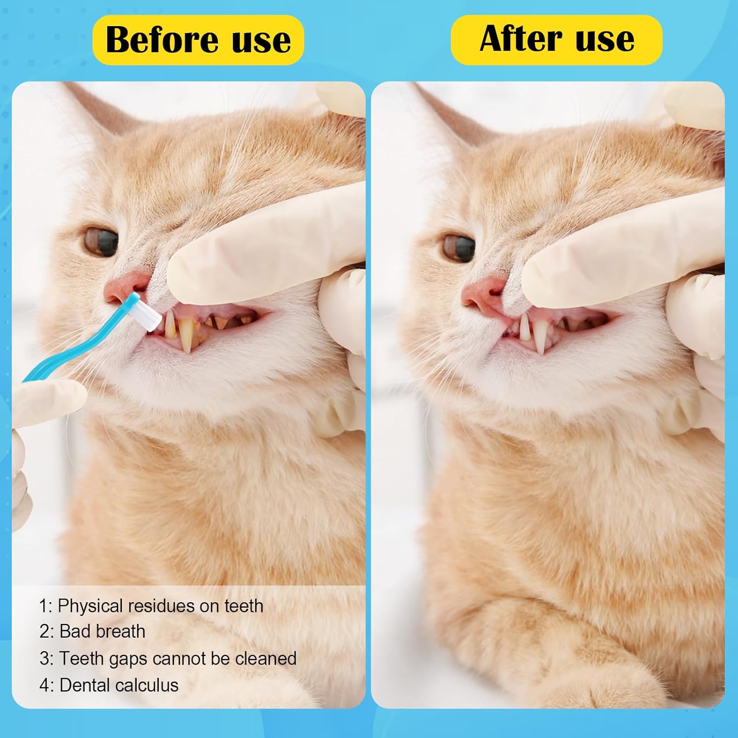6 Pcs Dual Sided Cat Toothbrush, Anti-Slip Curved Handle Cat Teeth Cleaning Brushs,Cat Dental Care Supplies,Pet Toothbrush with Micro Brush Head · v3