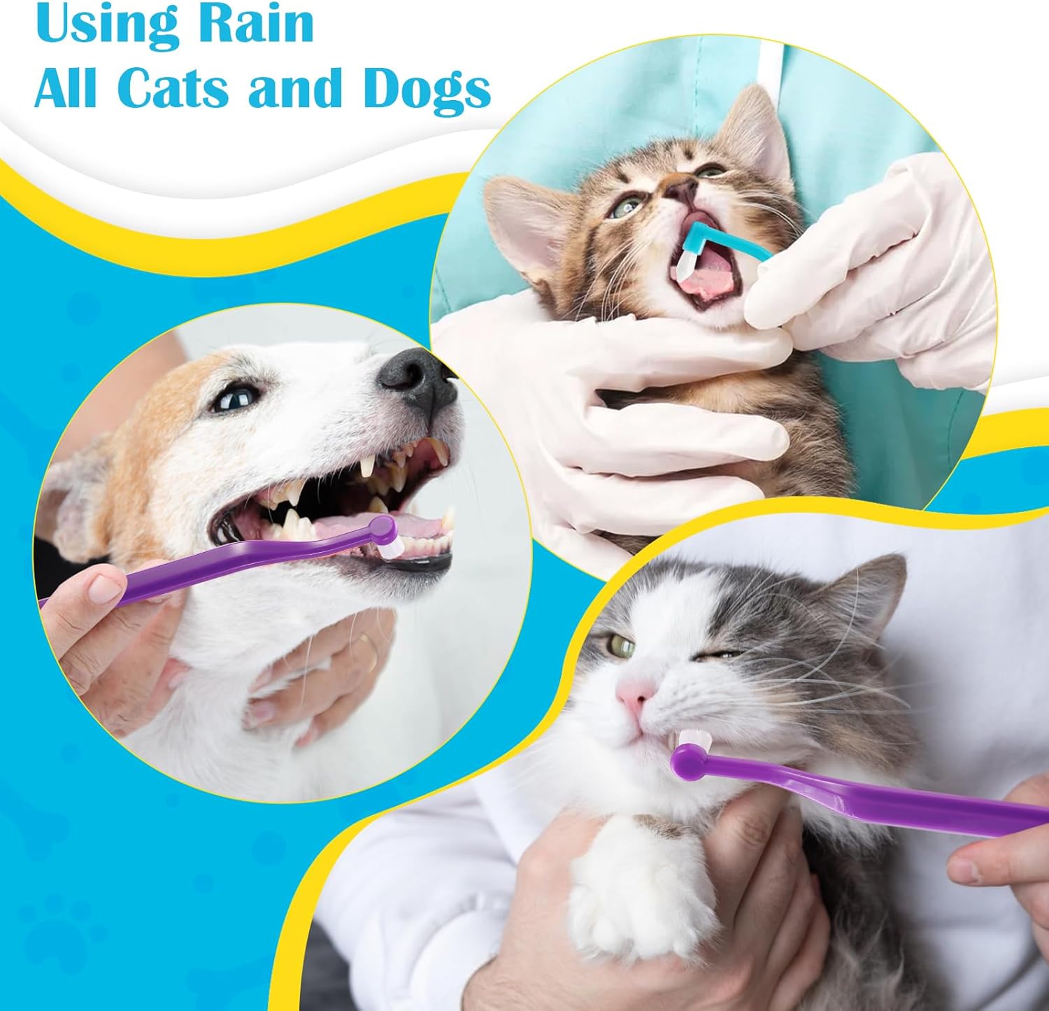 6 Pcs Dual Sided Cat Toothbrush, Anti-Slip Curved Handle Cat Teeth Cleaning Brushs,Cat Dental Care Supplies,Pet Toothbrush with Micro Brush Head · v3