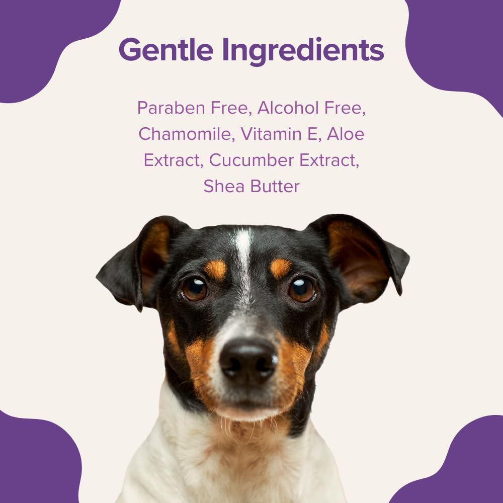 Stink! Plant Based Pet Wipes - Biodegradable - Dirt and Odor Control - Grooming Wipes for Easy Cleaning on Paws Body and Bum - Lavender Scented - 8 x 8" - 400 Count · v5