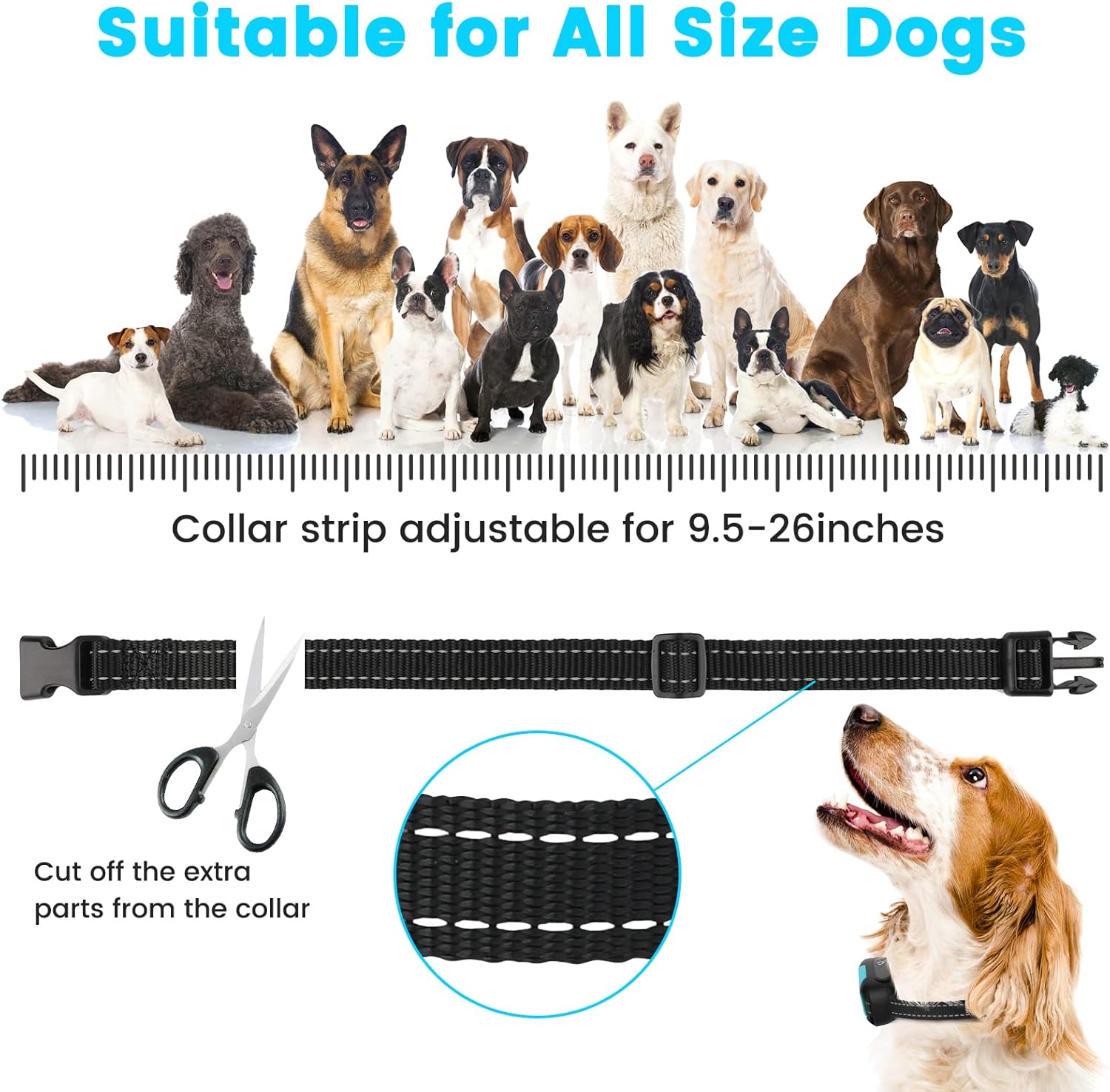 RUXAN Electric Fence for Dogs, Underground Dog Fence System, Rechargeable 656Ft Aboveground Pet Containment System with Waterproof Collar Receivers, Boundary Wire (for 1 Dog) (for 2 Dogs) · v7