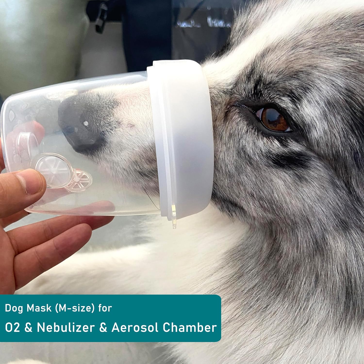 Dog Inhaler Mask Oxygen Mask for Cats and Dogs, Oxygen Mask for Pets (Medium Dogs) · v10