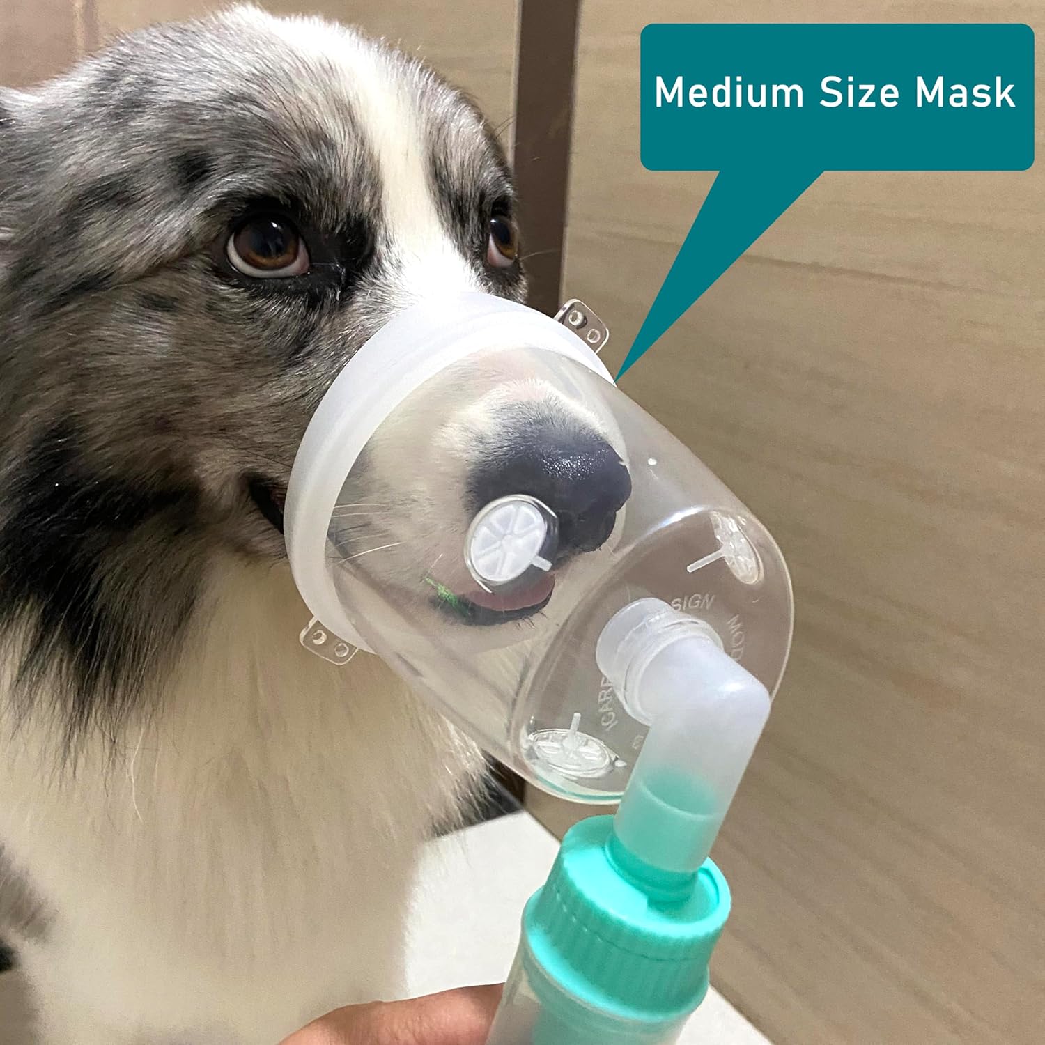 Dog Inhaler Mask Oxygen Mask for Cats and Dogs, Oxygen Mask for Pets (Medium Dogs) · v10