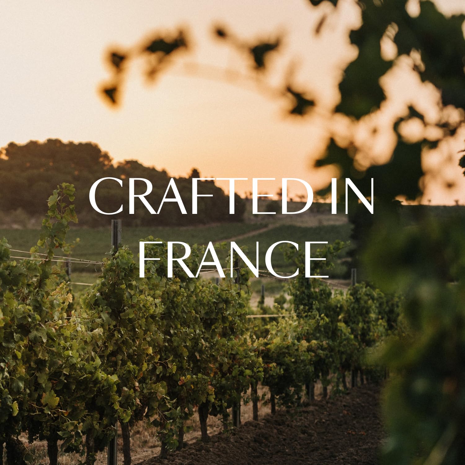 French Bloom Le Rosé and Le Blanc - Alcohol-Free Sparkling Wine, 750ml - Certified Organic, Vegan, Low Calorie,Sulfite-Free - Made with Fine Organic Wine, No Preservatives or Added Sugar