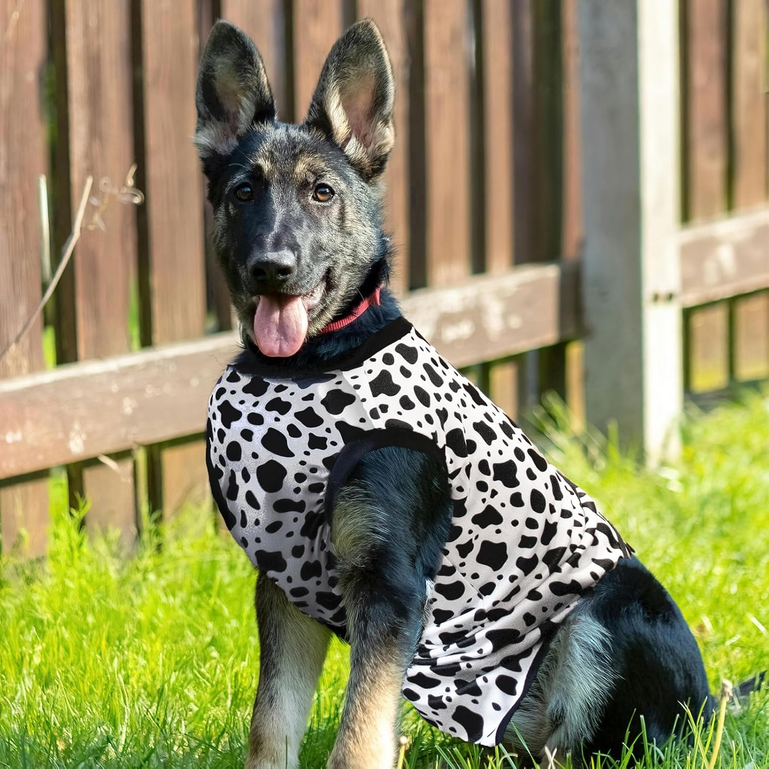 Recovery Suit for Dogs After Surgery, Dog Recovery Suit Female Male after Neutering, Dog Spay Surgical Recovery Suit Female Substitute Cone  E-Collar, Dog Onesie for Surgery Abdominal Wounds Bandages · v12