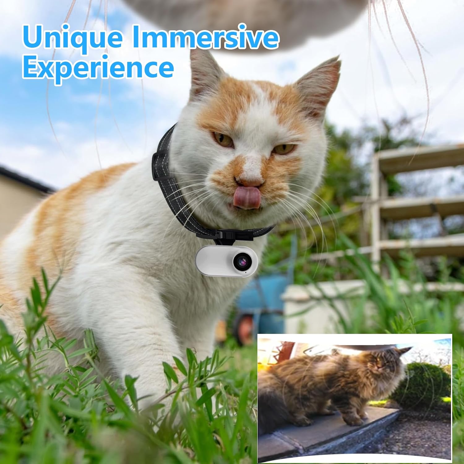 HD 1080P Cat Camera Collar with Video Record Wireless Mini Sport Cam,Small Action Cameras,Body Camera for Pet Supplies/Stuff,Outdoor/Inoor Birthday Gift No WiFi · v5