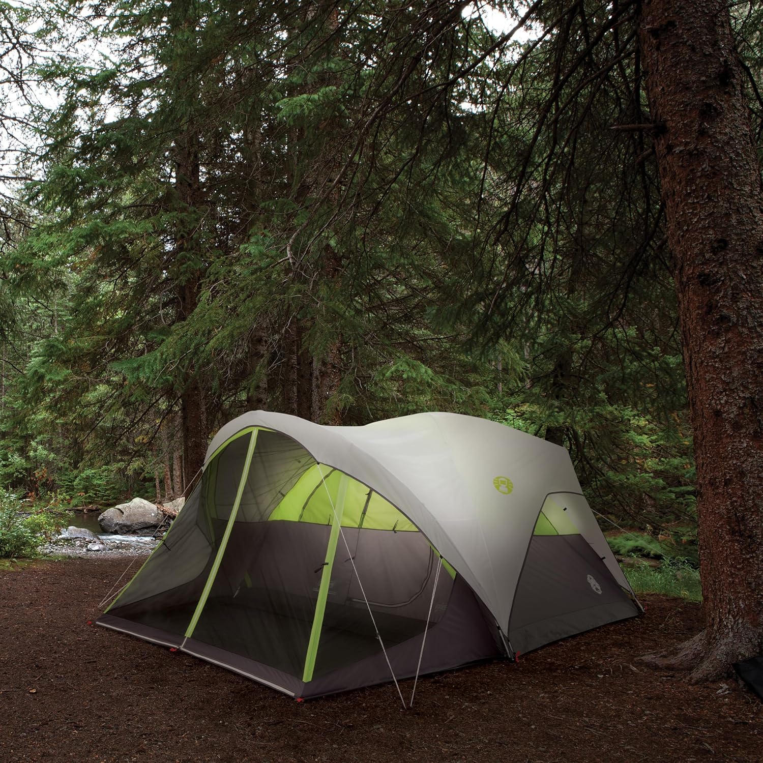 Coleman Steel Creek 6-Person Tent with Screened Porch, Weatherproof Tent with Screen Room Sets Up in Minutes, Fits Queen-Size Airbed · v3