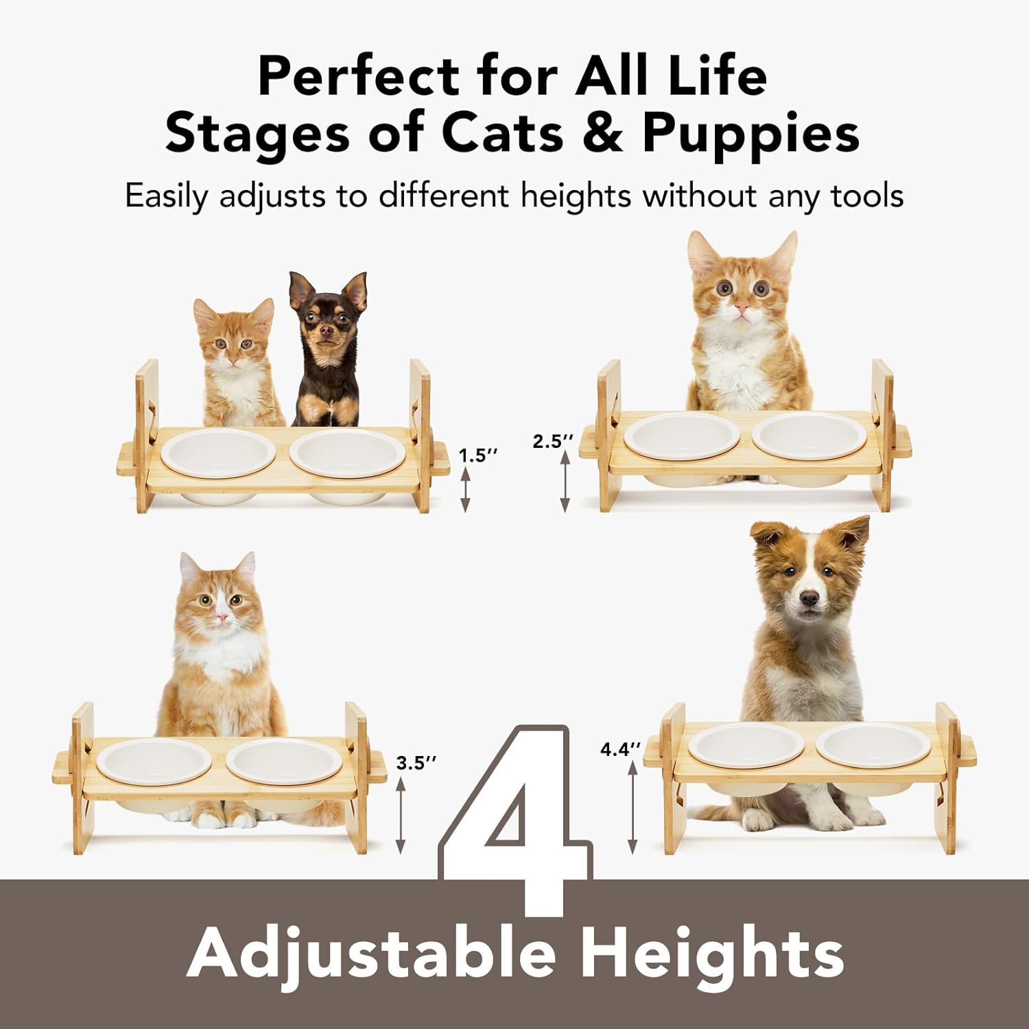 Cat Food Bowl Ceramic Elevated Cat Bowls 15° Raised Cat Bowl for Indoor Cats  Small Dogs Natural Bamboo Whisker Fatigue Cat Bowl, Anti Vomitting Cat Food and Water Bowl Set, Dishwasher Safe · v2