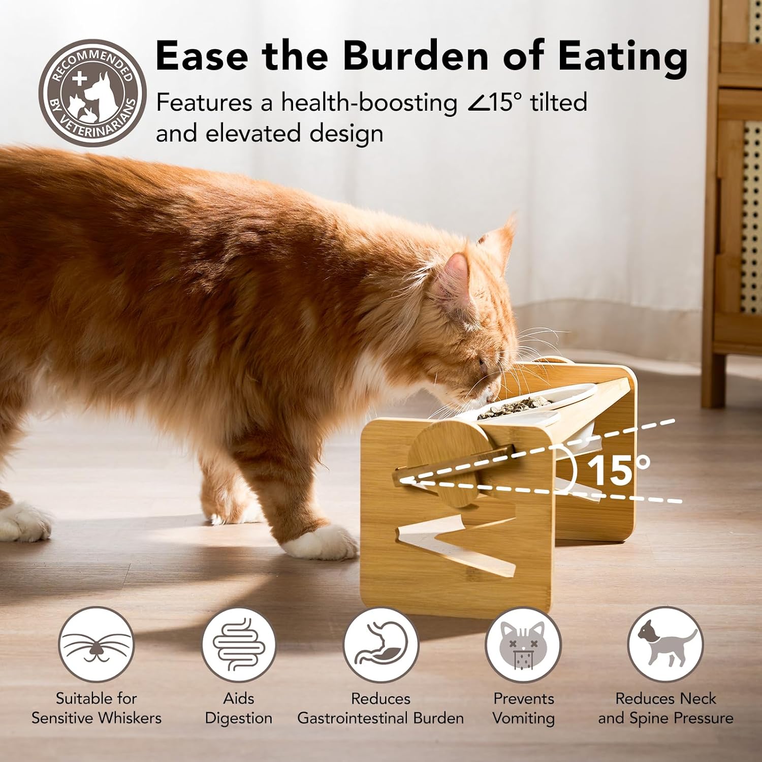 Cat Food Bowl Ceramic Elevated Cat Bowls 15° Raised Cat Bowl for Indoor Cats  Small Dogs Natural Bamboo Whisker Fatigue Cat Bowl, Anti Vomitting Cat Food and Water Bowl Set, Dishwasher Safe · v2