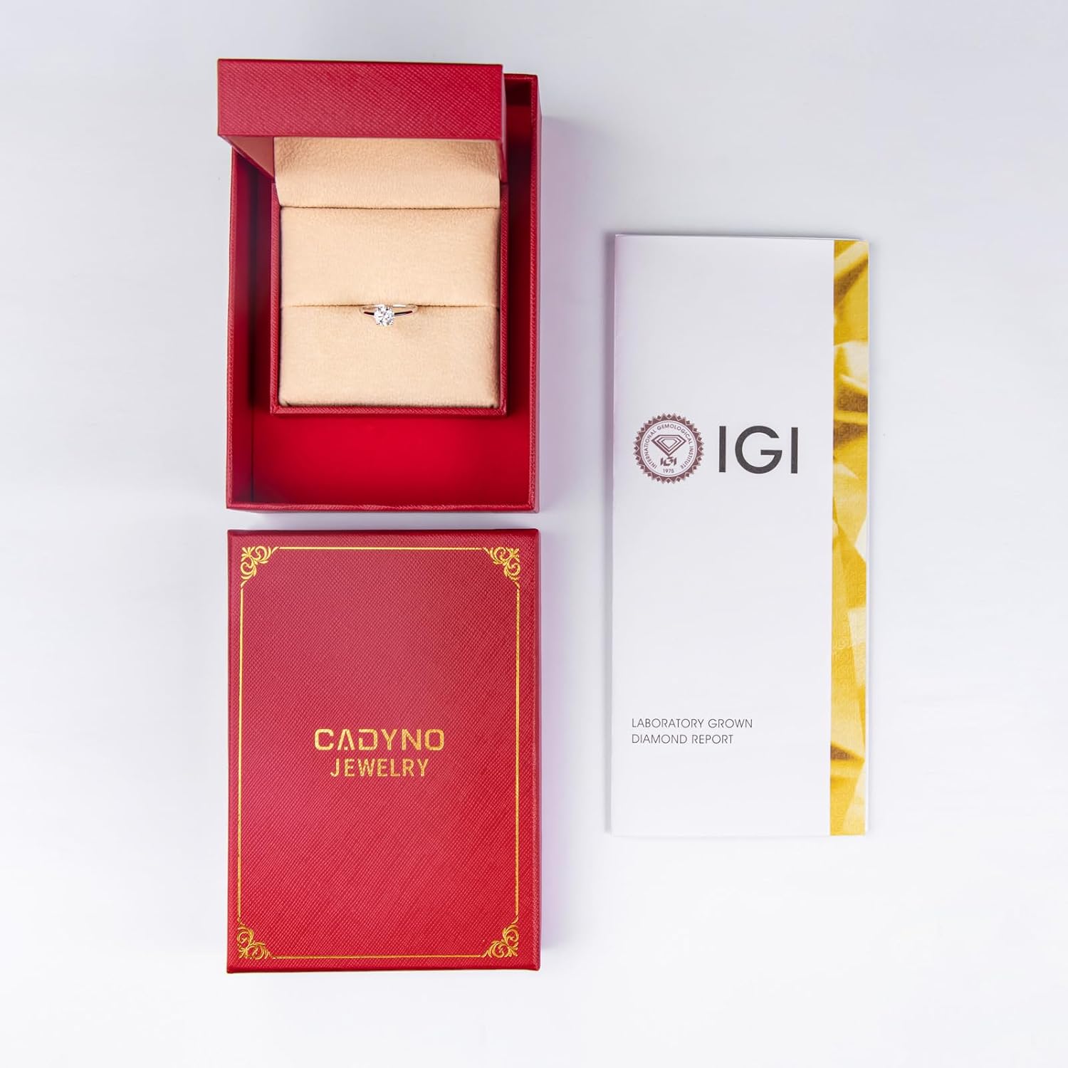 IGI 1ct D Color VVS Lab Grown Diamond Engagement Ring, 14K Solid White Gold · v5