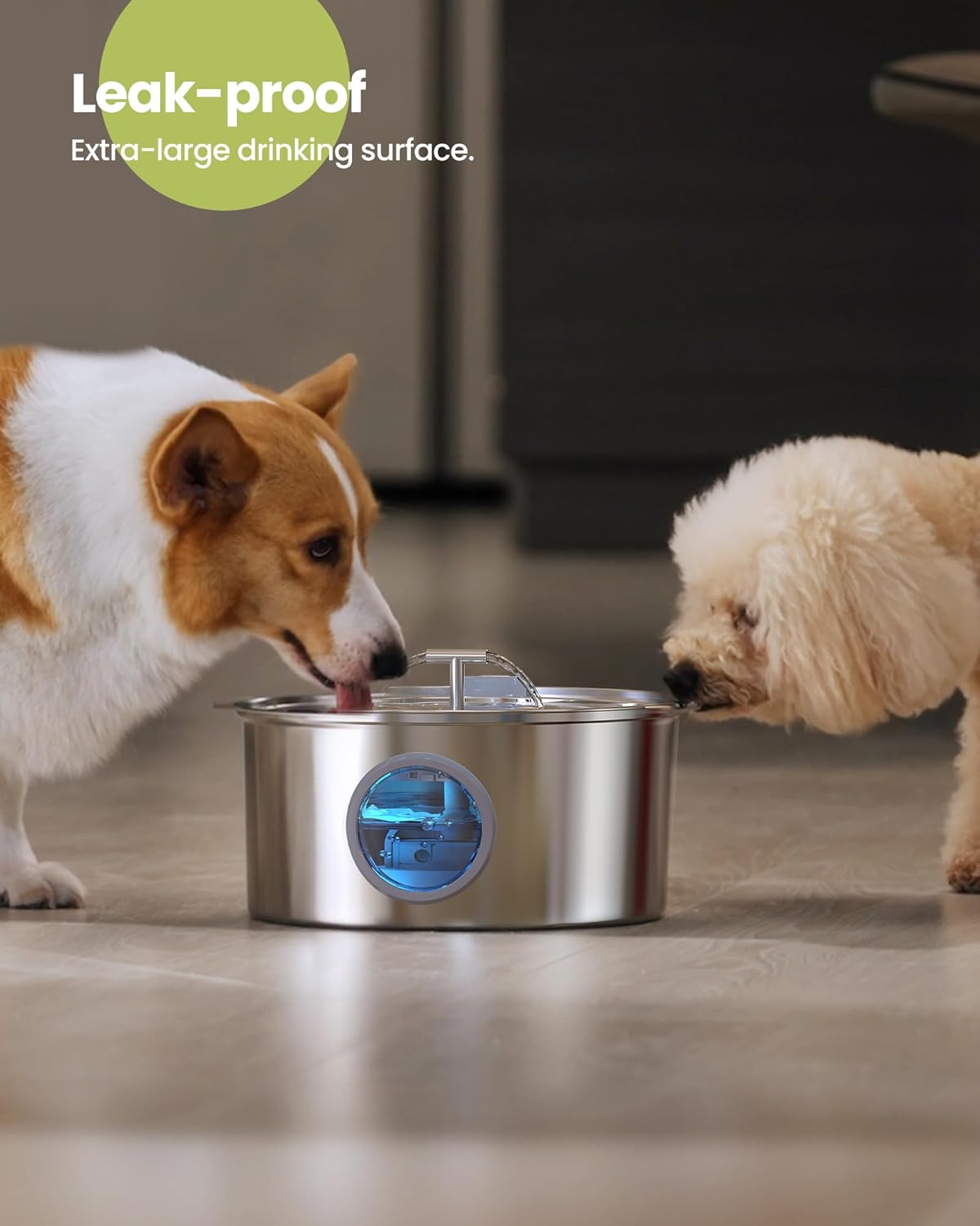Fontana d'acqua per cani da 7 l/1,8 gall/236 once per cani di grossa taglia - Dispenser automatico per animali domestici in acciaio inossidabile con 8 filtri, fontanelle silenziose per interni per animali domestici, ciotole d'acqua in metallo per cani e gatti