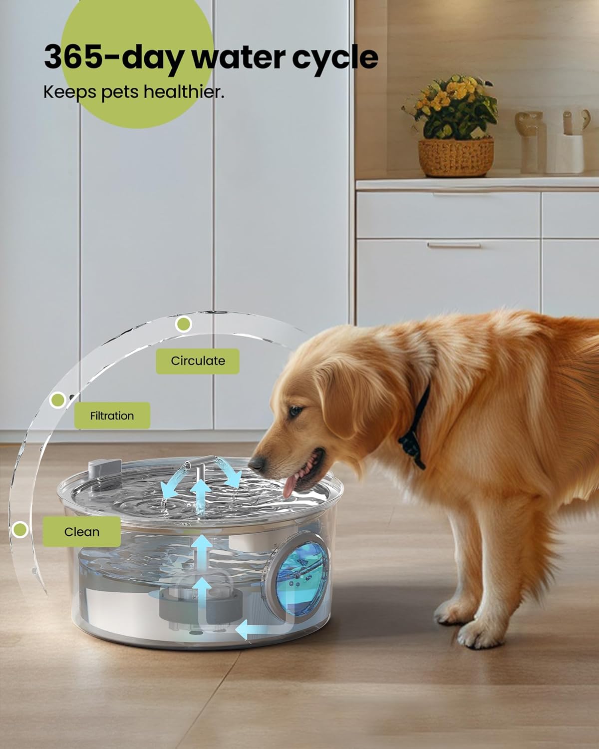 Fontana d'acqua per cani da 7 l/1,8 gall/236 once per cani di grossa taglia - Dispenser automatico per animali domestici in acciaio inossidabile con 8 filtri, fontanelle silenziose per interni per animali domestici, ciotole d'acqua in metallo per cani e gatti