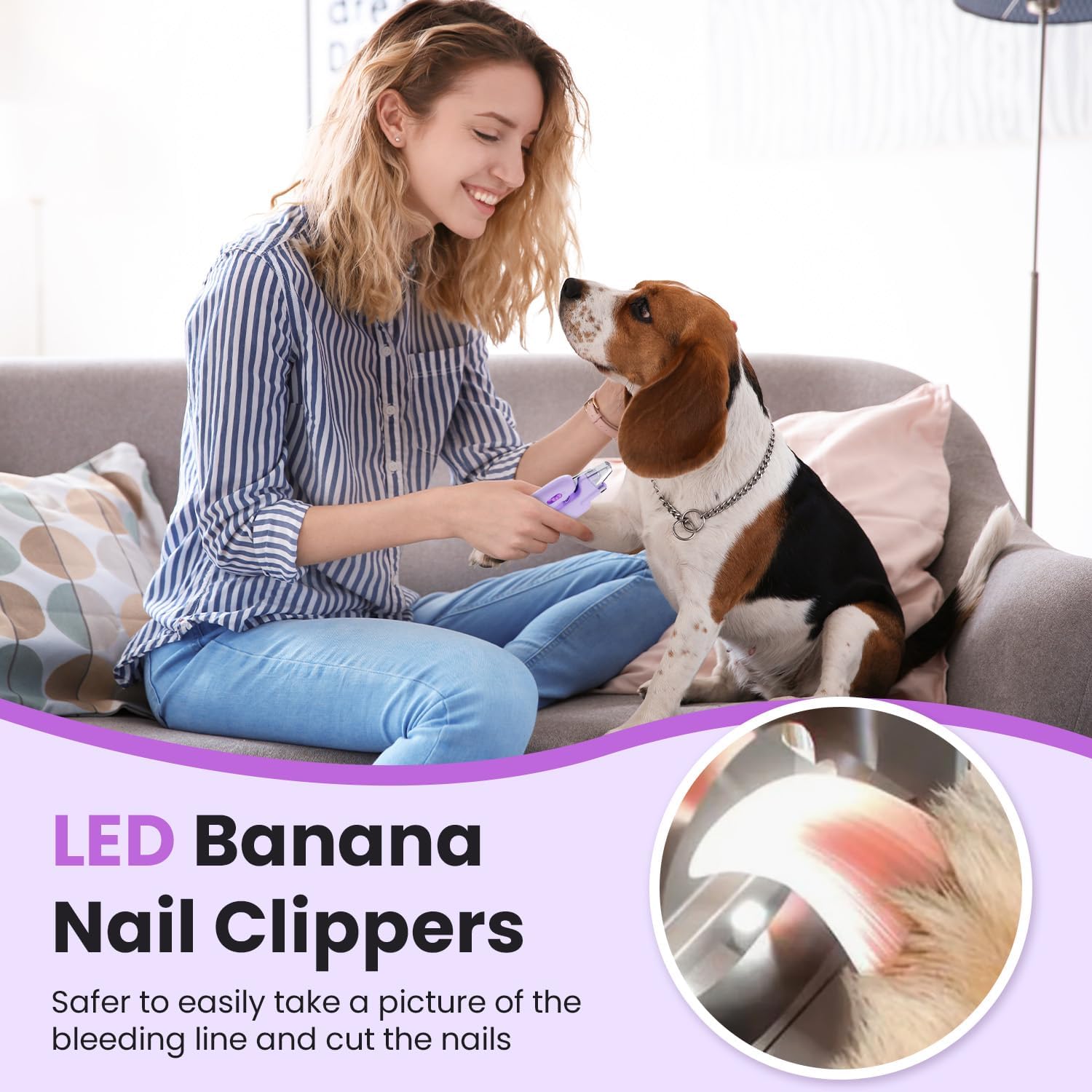 Dog  Cat Nail Clippers,Dog Nail Trimmers with 2 LED Lights, Powerful Safety Guard and Nail File to Avoid Over Cutting，Easily illuminate the bloodline,Suitable for Large to Medium Dogs, Cats purple-1 · v5