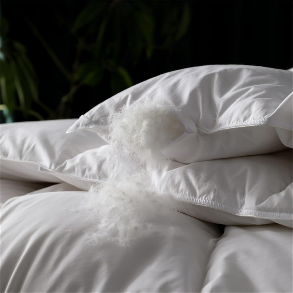 White Goose Down Comforter Warmth Duvet Quilt Winter All Season Queen King Luxury Blankets Cotton Shell(220x240cm 1PCS) · v22