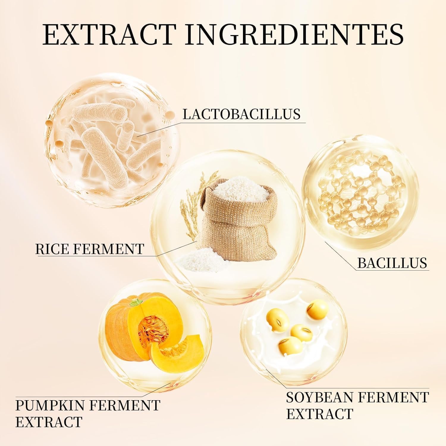 2 écrans solaires biologiques Relief Sun, probiotiques à base de riz, crème protectrice coréenne pour la peau, crème de protection de la peau pour tous les types de peau