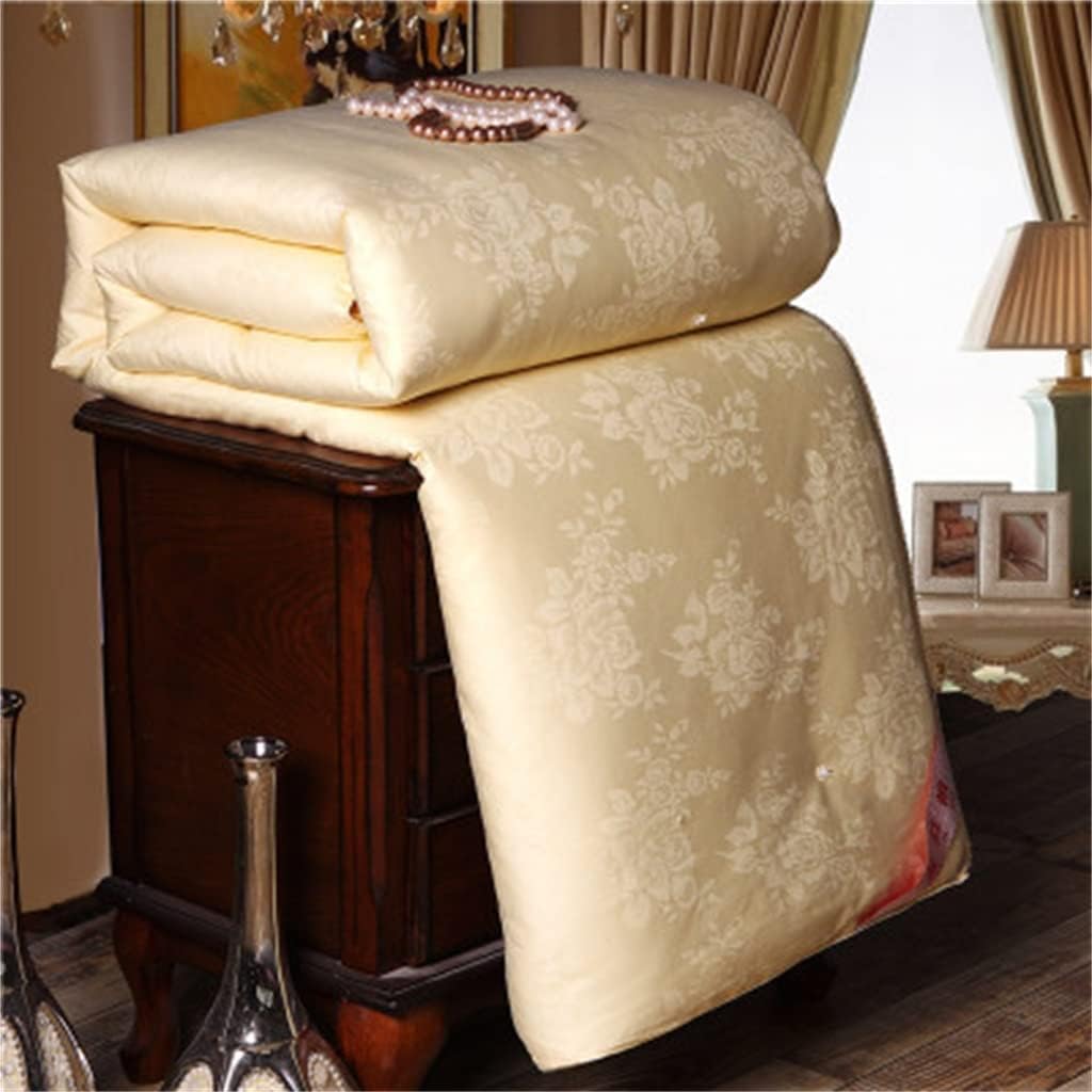 Super Soft Warm Spring Comforter Natural Silk Quilt Luxury Home Blanket Comforters(E) · v6