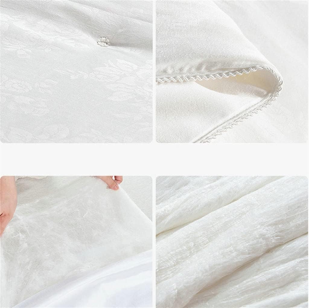 Super Soft Warm Spring Comforter Natural Silk Quilt Luxury Home Blanket Comforters(E) · v6