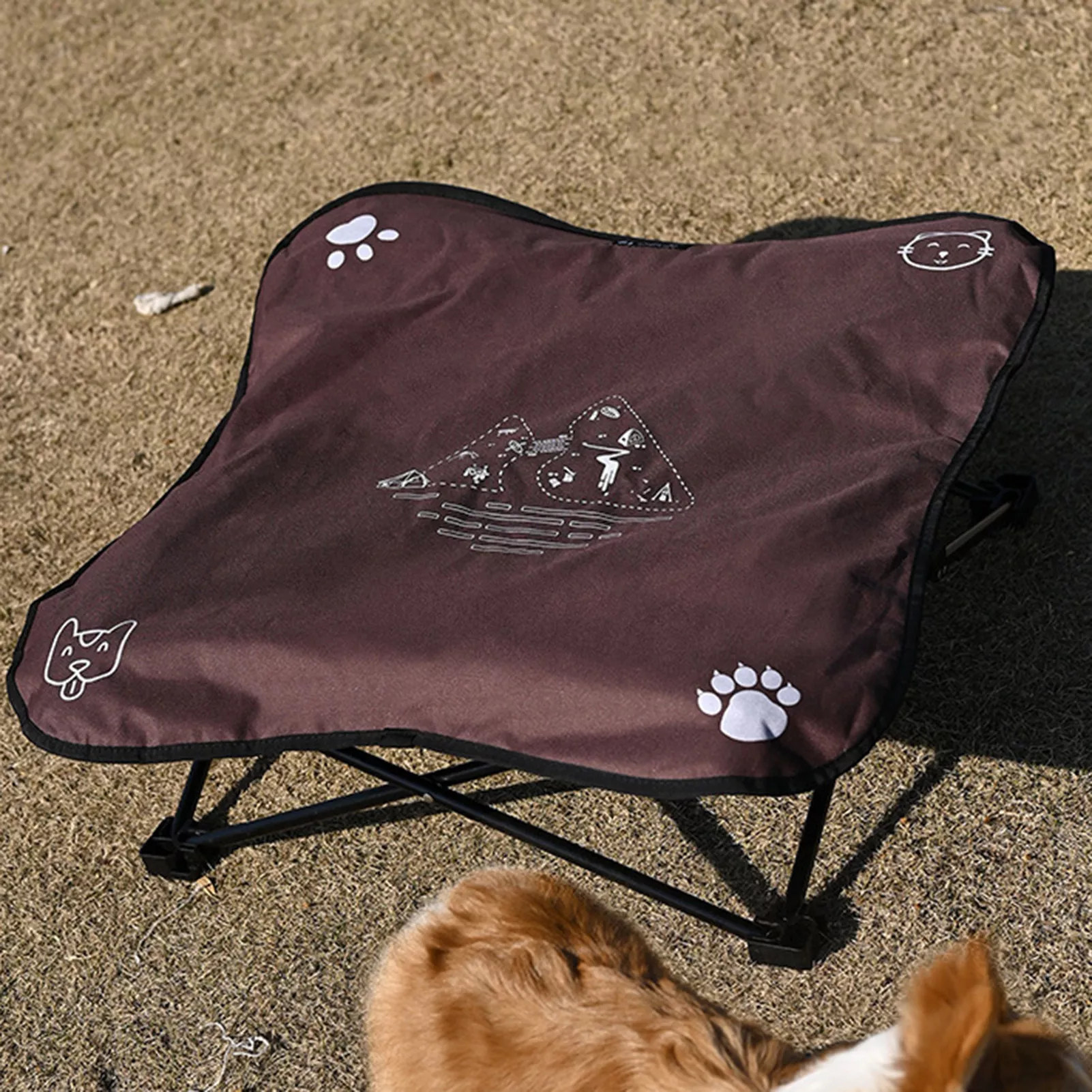 Elevated Cat Bed House Cat Hammocks Bed Portable Metal Frame Cat Lounge Bed For Small Rabbit Cats Dogs Durable Pet House