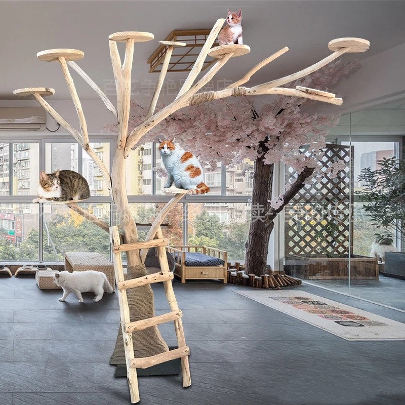 Large cat tree &amp; cat climbing frame cat jumping platform cat litter cat tree solid wood wear-resistant play space