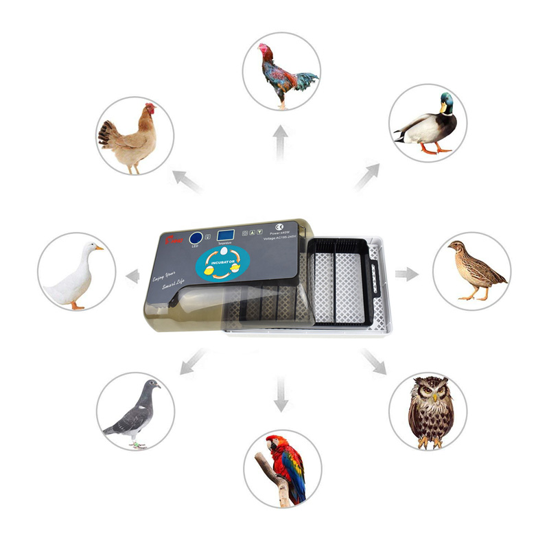 Newest Farm Machine 4-35 Hatchery Egg Hatchers Cheap Price Incubator Brooder Chicken Automatic Eggs Incubator Bird Quail Brooder