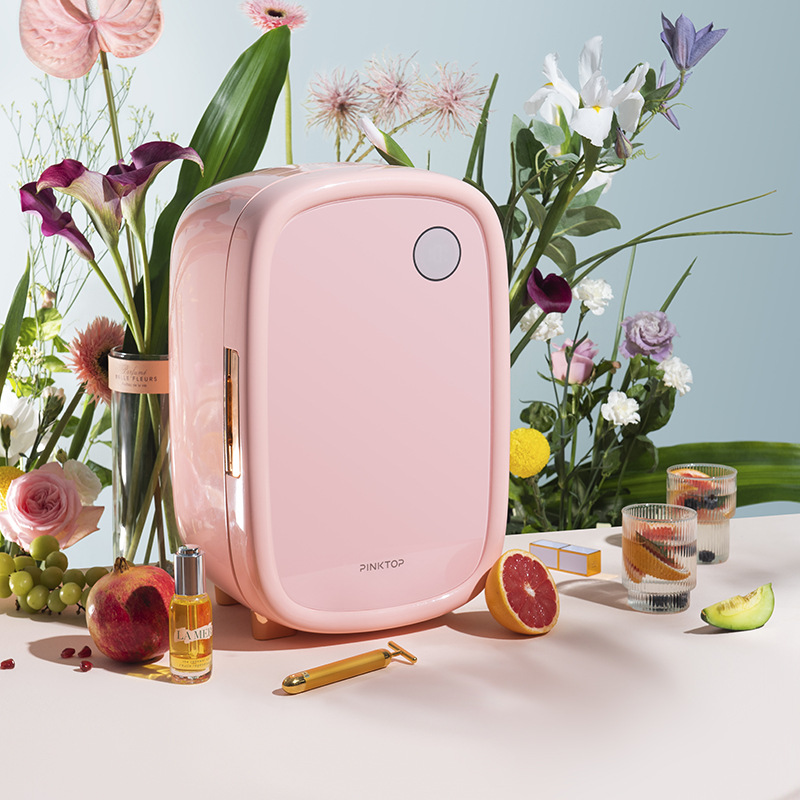 Professional Skin Care Products Freezer Single Door Mini Cosmetic Refrigerator 12L Simple Beauty Smart Constant Fridge · v4