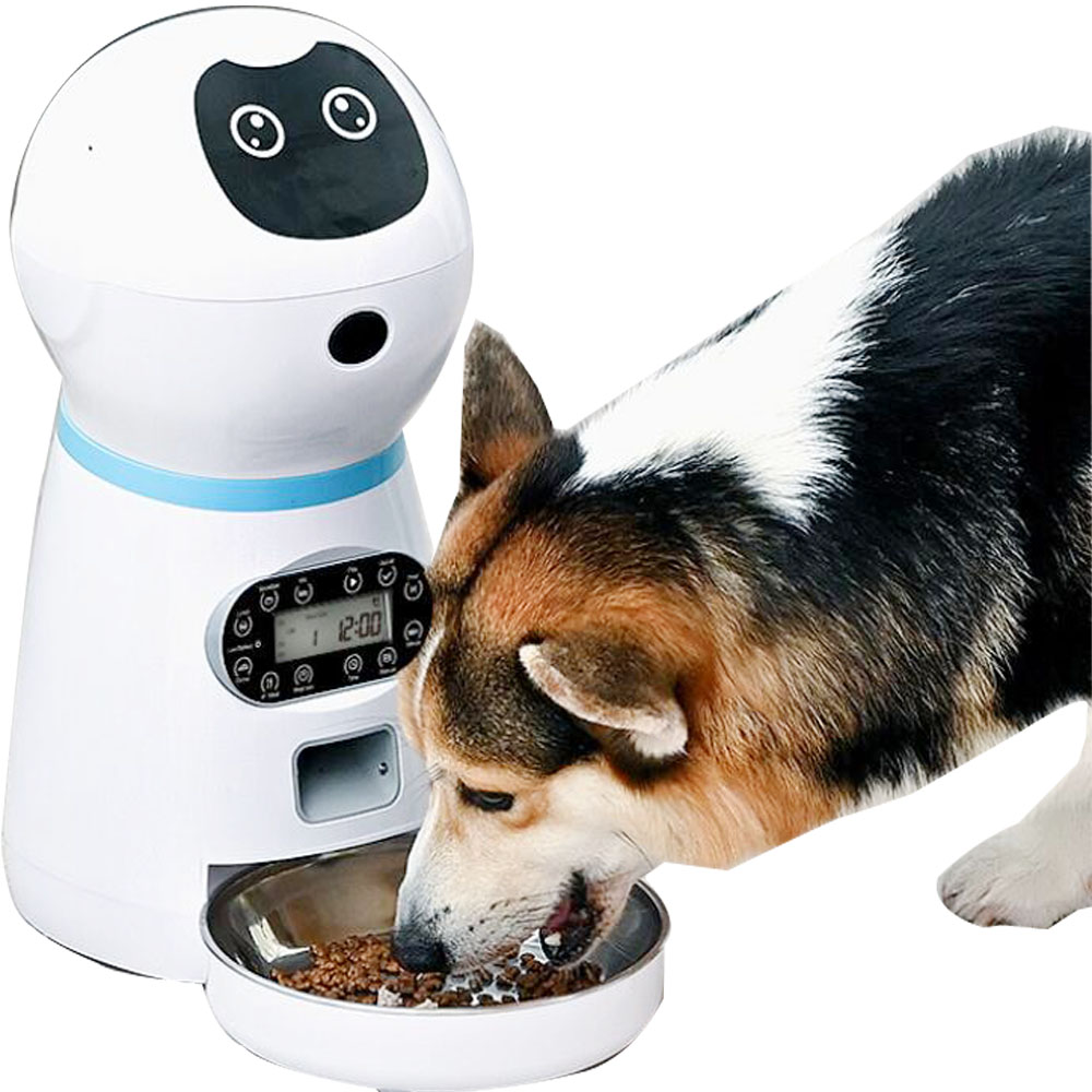 Smart Automatic Pet Feeder With Voice Record Stainless Steel LCD Screen Timer For Dog Food Bowl Cat Food Dispenser Pet Supplies