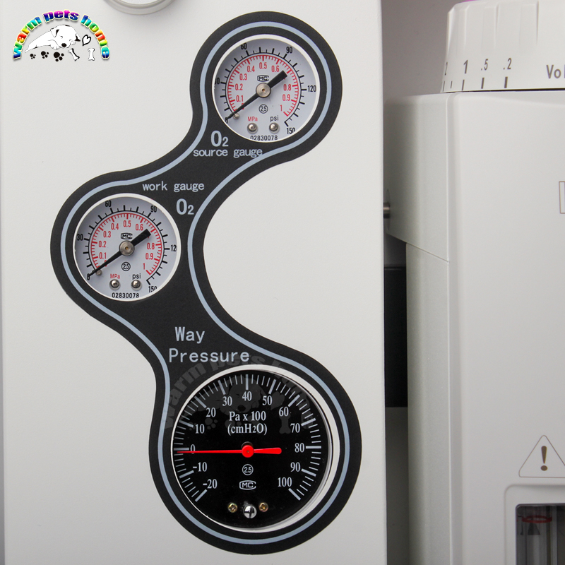 Veterinary Anesthesia Machine Animal Dog Cat Portable Anesthesia Machine Vet Equipment